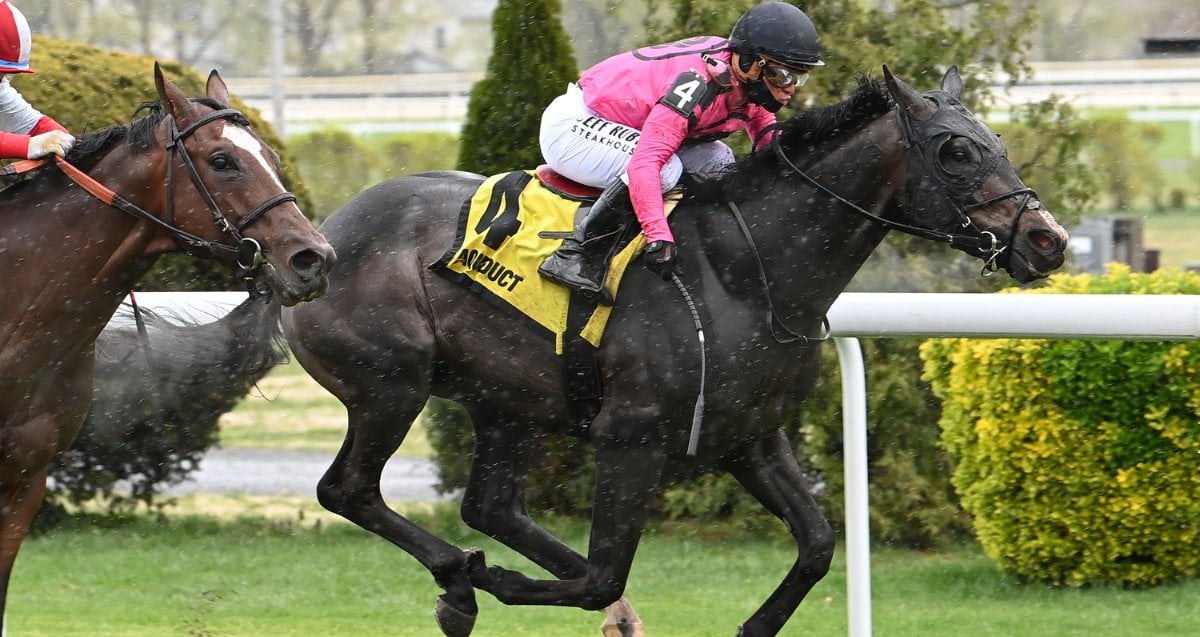 Blackmail Woodhaven Sr