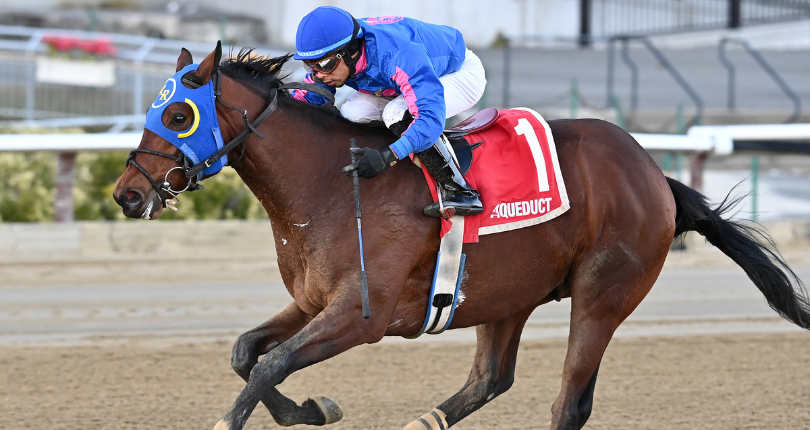 Antonioof Venice 23 Ac