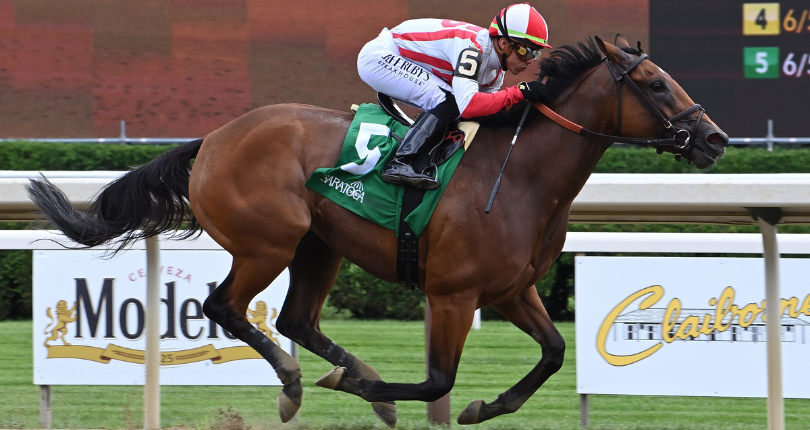 Randomized Wilton 23 Sr