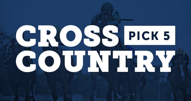 Nyra 19 Cross Country 5