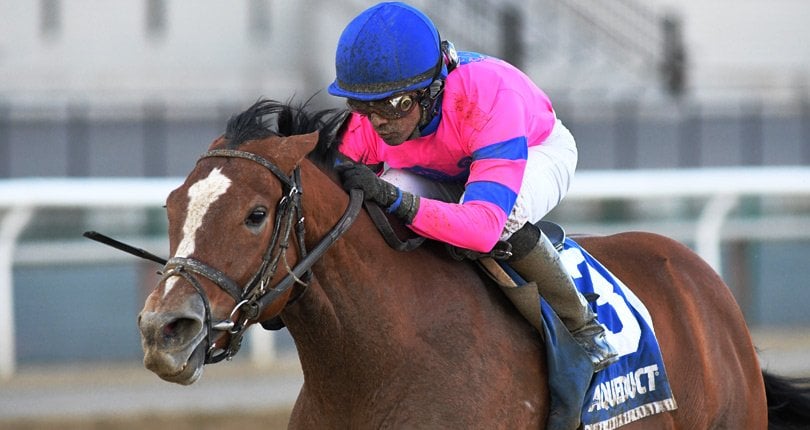 Holiday Disguise Broadway Cd