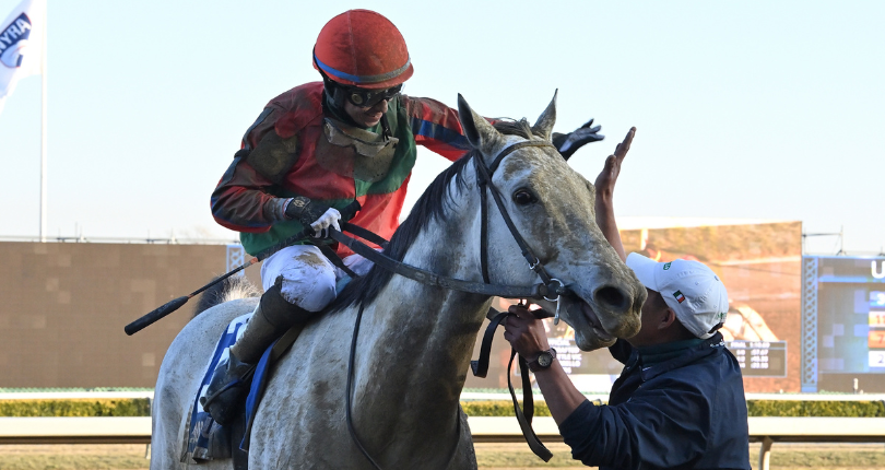 Drafted Gravesend 22 Sr