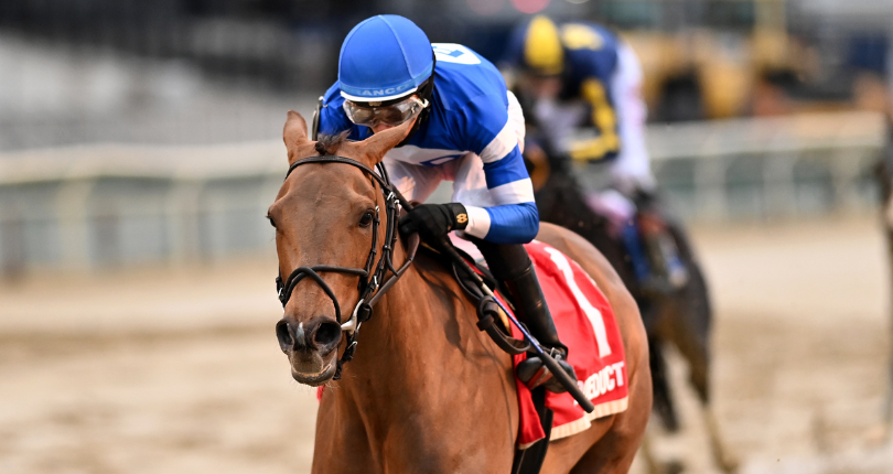 Rossa Veloce Correction 23 Cd